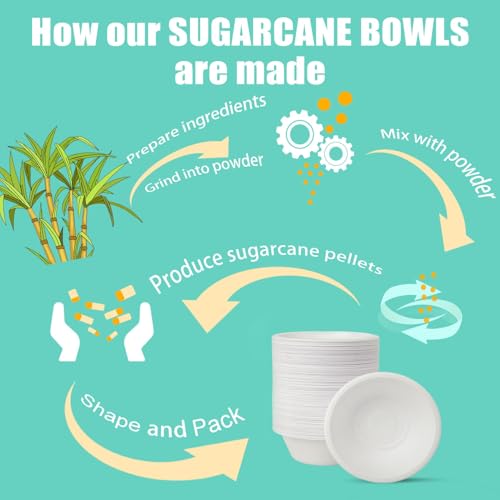 White Compostable Paper Bowls 12 oz 500 Count