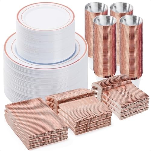 Disposable Dinnerware Set for Parties Weddings and Events
